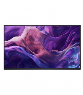 Dell Monitor Without Stand P2425HE 24"