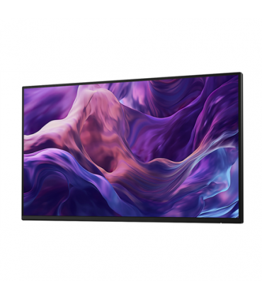 Dell Monitor Without Stand P2425HE 24"