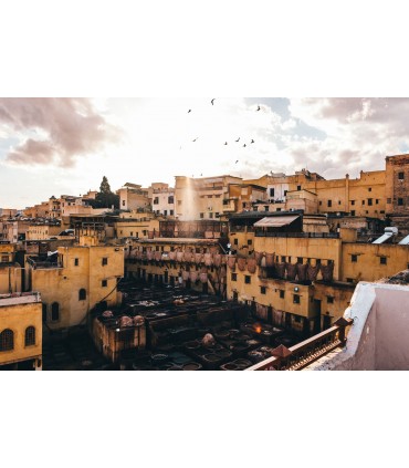 Fujifilm XF 16-50mm f/2.8-4.8 R LM WR objektiiv