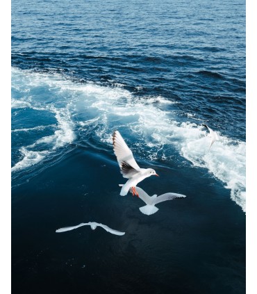 Fujifilm XF 16-50mm f/2.8-4.8 R LM WR objektiiv