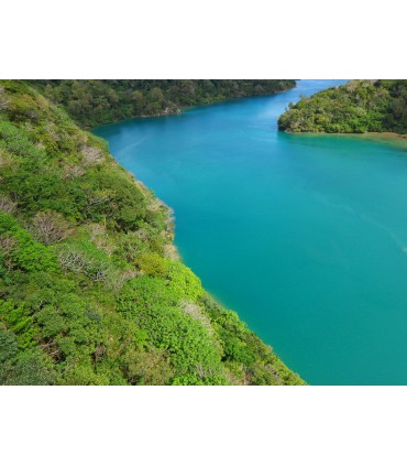 Pentax WG-1000, roheline