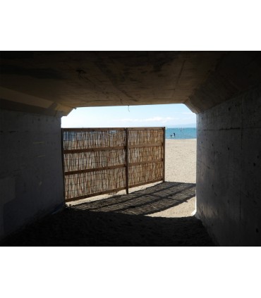 Pentax WG-1000, roheline