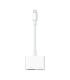 Apple Lightning to Digital AV Adapter