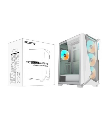 Gigabyte C301GW V2