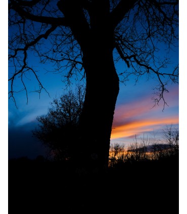 Fujifilm X-T50 + 16-50mm, charcoal