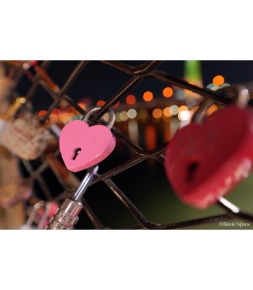 Panasonic Lumix S 14-28mm f/4-5.6 Macro objektiiv