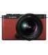 Panasonic Lumix DC-S9 + 20-60mm, crimson red