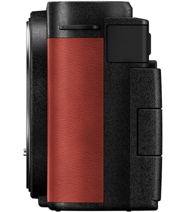 Panasonic Lumix DC-S9 + 20-60mm, crimson red