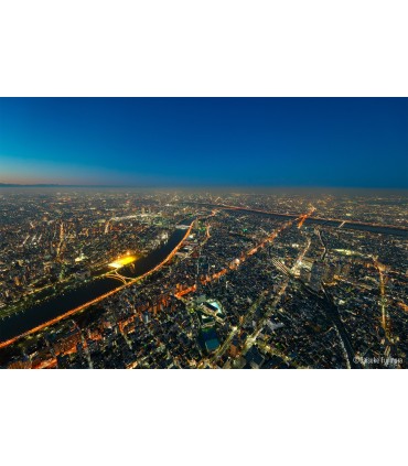 Panasonic Lumix S 14-28mm f/4-5.6 Macro White Box objektiiv