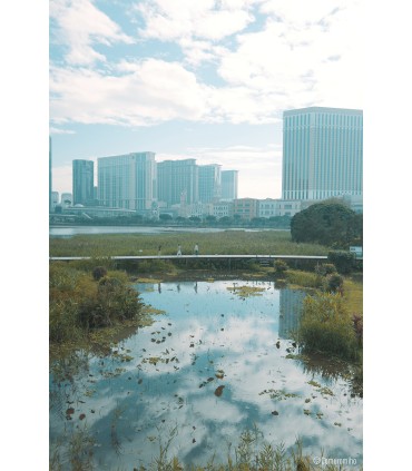 Panasonic Lumix S 28-200mm f/4-7.1 Macro O.I.S. objektiiv