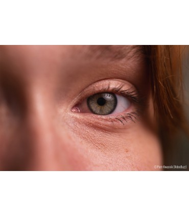 Panasonic Lumix S 100mm f/2.8 Macro objektiiv