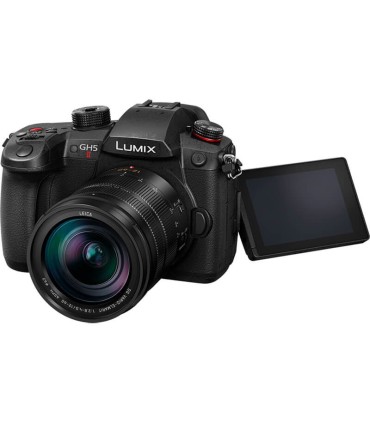 Panasonic Lumix DC-GH5 II + 12-60mm f/2.8-4.0 Kit
