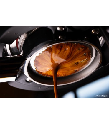 Panasonic Lumix S 100mm f/2.8 Macro objektiiv