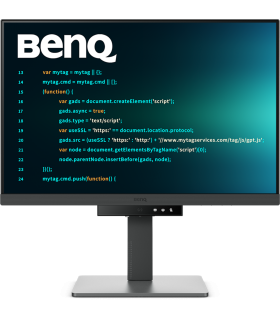 BenQ RD240Q 24,1"