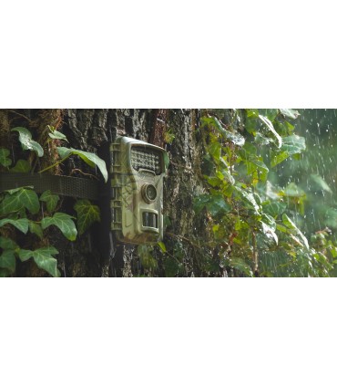 Redleaf rajakaamera RF06