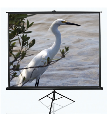 Elite Screens Tripod Series T100UWV1 Diagonal 100 ", 4:3, Viewable screen width (W) 203 cm, Black