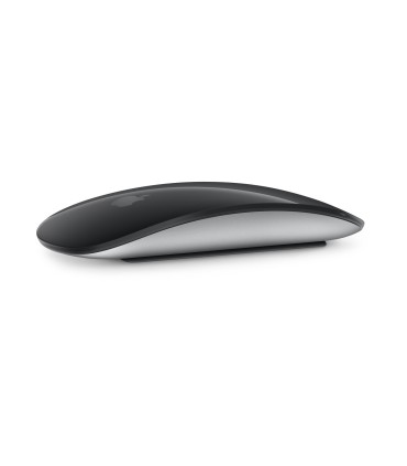 Apple Magic Mouse 2 must