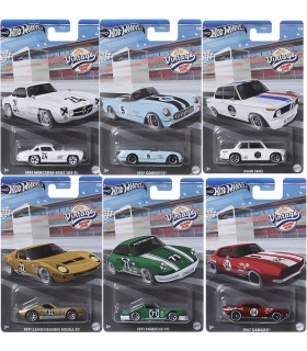 Hot Wheels® Salt Flat teemaautod