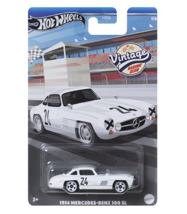Hot Wheels® Salt Flat teemaautod