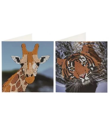 Grafix teemanditikand Kaardid 2 tk