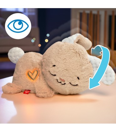 Fisher-Price rahustav kaisujänku