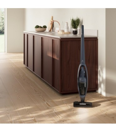 Electrolux ES52CB21DB Clean 500, 2in1