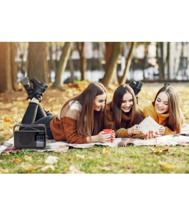 Blaupunkt PR8BK raadio