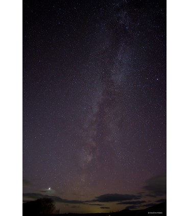 Samyang AF 12mm f/2.0 RF-S objektiiv Canonile