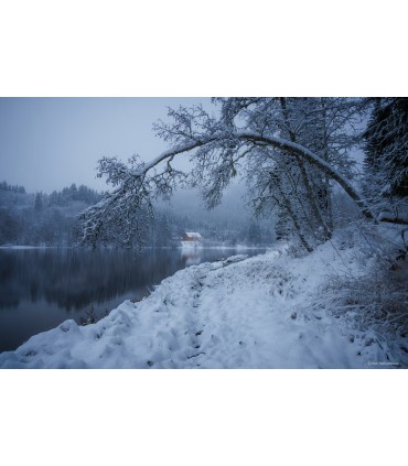 Samyang AF 12mm f/2.0 RF-S objektiiv Canonile