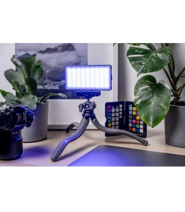 Newell videovalgusti komplekt Rangha Set with Diffuser