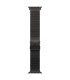 Apple 49mm Black Titanium Milanese Loop - Large