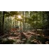 Fujifilm Fujinon XF 16-55mm f/2.8 R LM WR II objektiiv