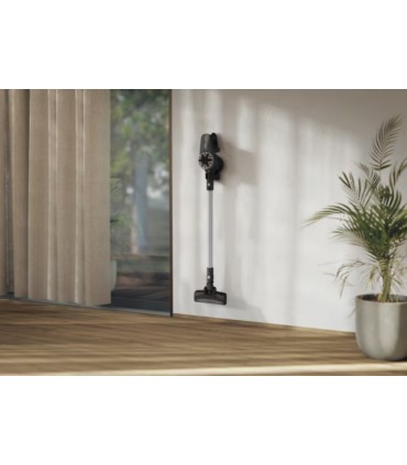 Electrolux EP31CB21GP 300 seeria, hall