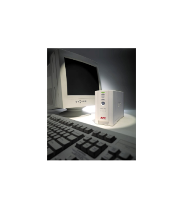 Schneider Electric APC Back-UPS BK500EI