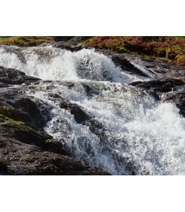 Canon Powershot SX740 HS Lite, hõbedane