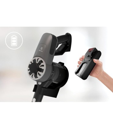 Electrolux EP31CB21GP 300 seeria, hall