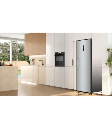 Gorenje FN619EAXL6