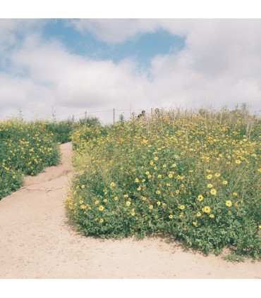 GT Photo film Retro 400/24