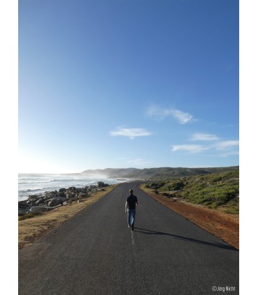 Panasonic Lumix DC-TZ99, must