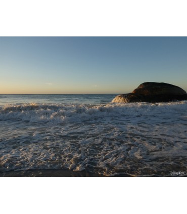 Panasonic Lumix DC-TZ99, must