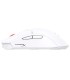 HyperX Mouse USB Optical PF/HAS2 MINIWL WHT 7D389AA
