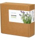 Click & Grow Plant Pod Lavendel 9tk