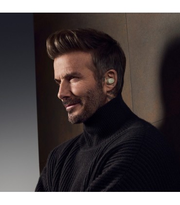 Bowers & Wilkins Pi8, roheline