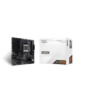 Biostar AMD B850 SAM5 Micro-ATX