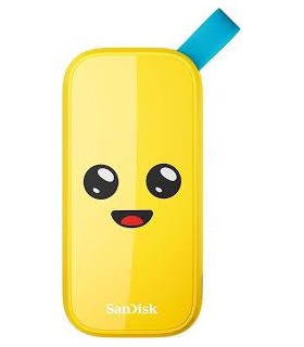 Sandisk 1TB SSD SDSSDE30-1T00-G25F