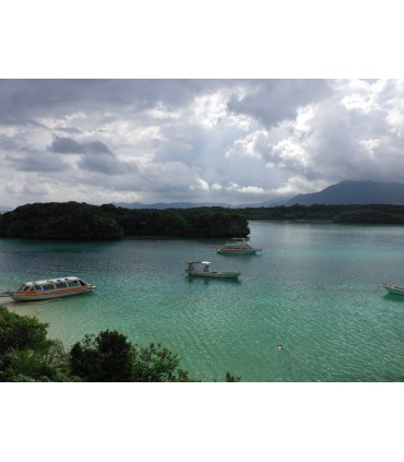 Pentax WG-8, roheline