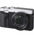 Panasonic Lumix DC-TZ99, hõbedane