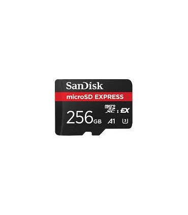 Sandisk MICRO SDXC 256GB UHS-I/SDSQXFN-256G-GN4NN