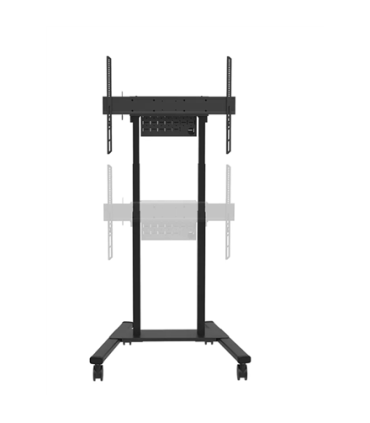Neomounts FL55-875BL1 55-100"
