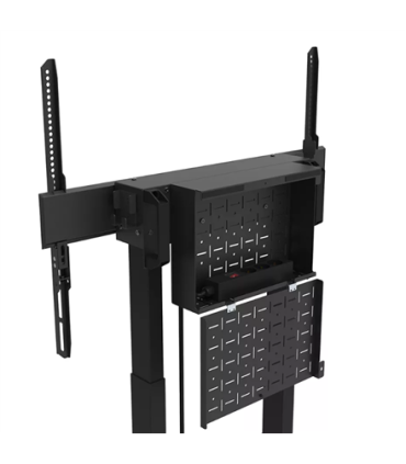 Neomounts FL55-875BL1 55-100"